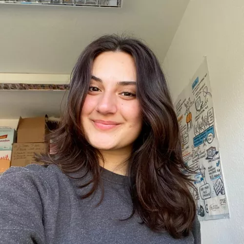 Das Bild ist ein Selfie von mir. Ich habe darauf dunkle braune Haare, dunkle braune Augen, trage einen grauen Pulli und lächle. 