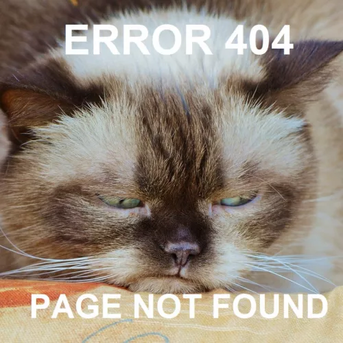 traurig schauende Katze, darauf der Text Error 404 Page not found